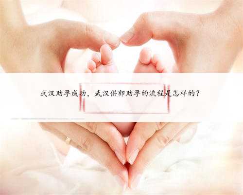 武汉助孕成功，武汉供卵助孕的流程是怎样的？